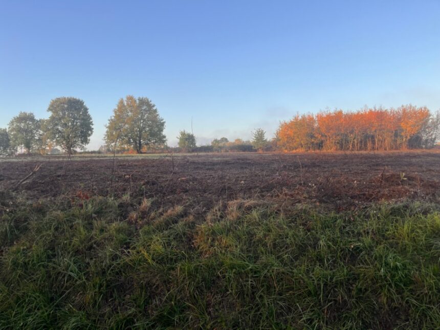 Terrain à bâtir à Cursan (33670)
