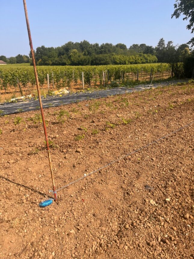 Terrain à bâtir à Créon (33670)