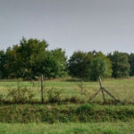 Maison à construire à Laruscade (33620)