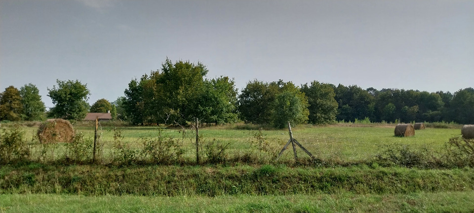 Terrain à bâtir à Laruscade (33620)