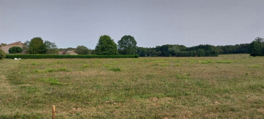 Terrain à bâtir à Cérons (33720)