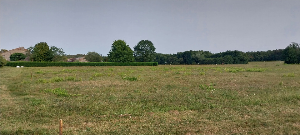 Terrain à bâtir à Saint-Genès-de-Fronsac (33240)