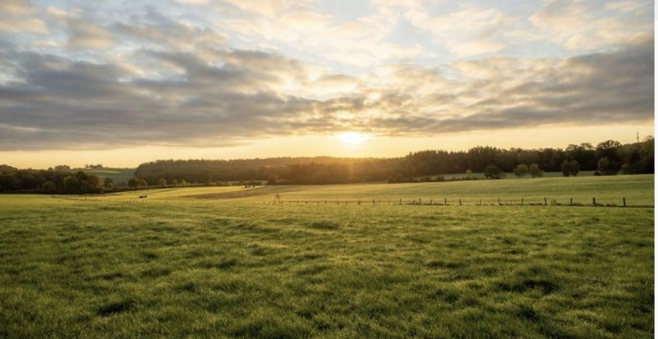Terrain à bâtir à Le Barp (33114)