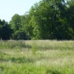 Maison à construire à Le Barp (33114)