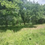 Maison à construire à Le Barp (33114)