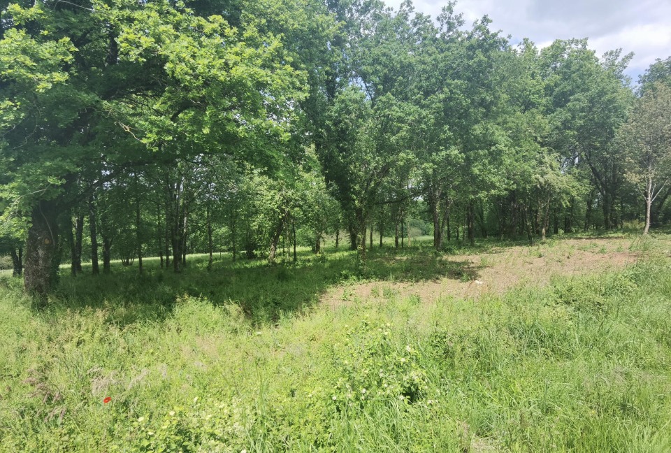 Terrain à bâtir à Le Barp (33114)