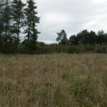 Maison à construire à Libourne (33500)