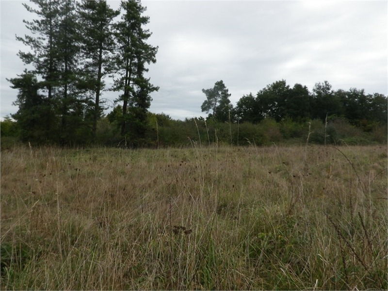 Terrain à bâtir à Libourne (33500)