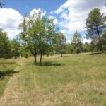 Maison à construire à Saint-Loubès (33450)