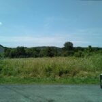 Terrain à bâtir à Orignolles (17210)