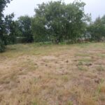 Terrain à bâtir à Bassens (33530)