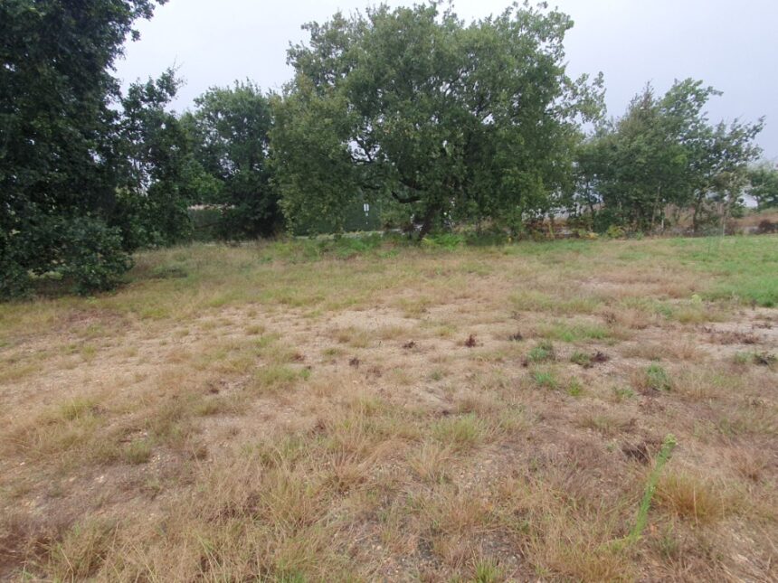 Terrain à bâtir à Bassens (33530)