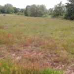 Maison à construire à Cubzac-les-Ponts (33240)