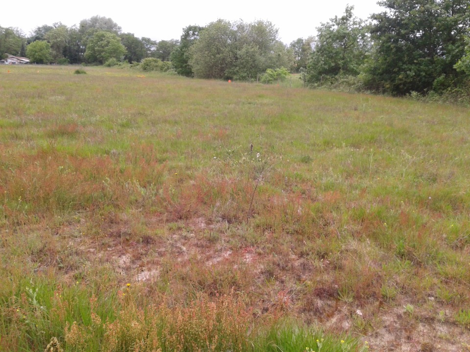 Terrain à bâtir à Cubzac-les-Ponts (33240)
