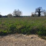 Terrain à bâtir à Saint-Gervais (33240)