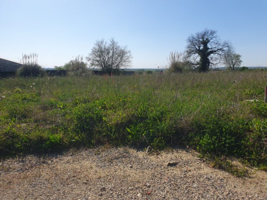 Terrain à bâtir à Saint-Gervais (33240)