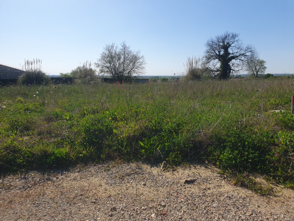 Terrain à bâtir à Saint-Gervais (33240)