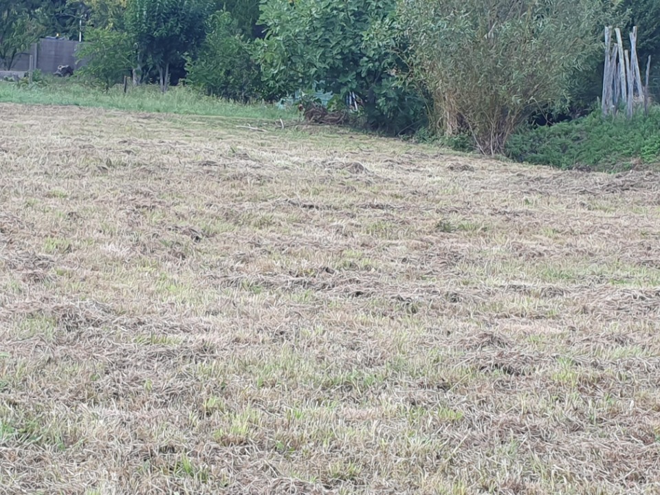 Terrain à bâtir à Saint-Romain-la-Virvée (33240)