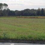 Terrain à bâtir à Saint-Savin (33920)