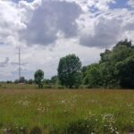 Maison à construire à Bouliac (33270)