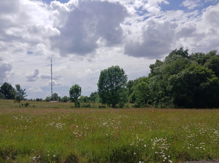 Terrain à bâtir à Bouliac (33270)