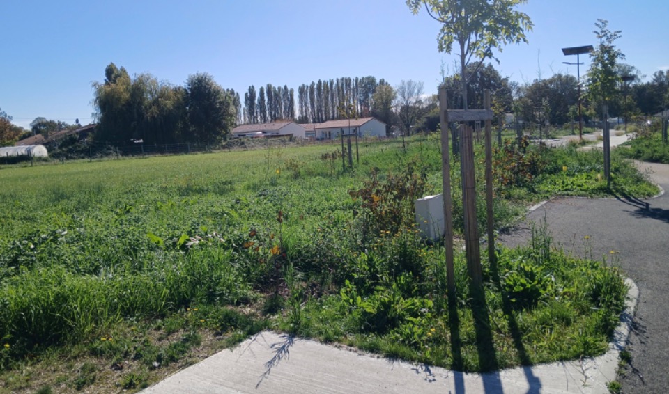 Terrain à bâtir à Saint-Laurent-Médoc (33112)