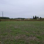 Maison à construire à Monestier (24240)