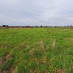 Maison à construire à Lamonzie-Saint-Martin (24680)