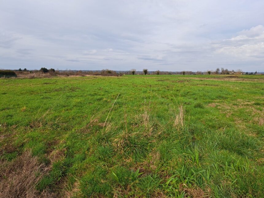 Maison à construire à Lamonzie-Saint-Martin (24680)