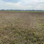 Terrain à bâtir à Archingeay (17380)