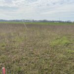 Terrain à bâtir à Archingeay (17380)