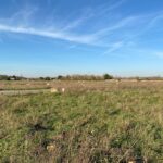 Terrain à bâtir à Port-d’Envaux (17350)