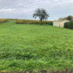 Terrain à bâtir à Saint-Sauveur-de-Puynormand (33660)