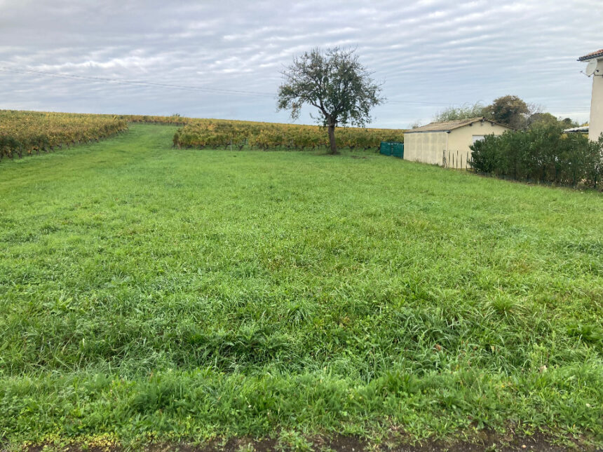 Terrain à bâtir à Saint-Sauveur-de-Puynormand (33660)