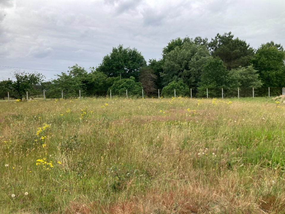 Terrain à bâtir à Les Peintures (33230)