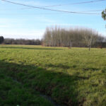 Terrain à bâtir à Chenaud (24410)