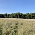 Maison à construire à Castelnau-de-Médoc (33480)