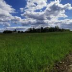 Maison à construire à Grignols (33690)