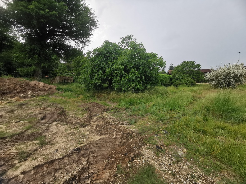 Terrain à bâtir à Roaillan (33210)