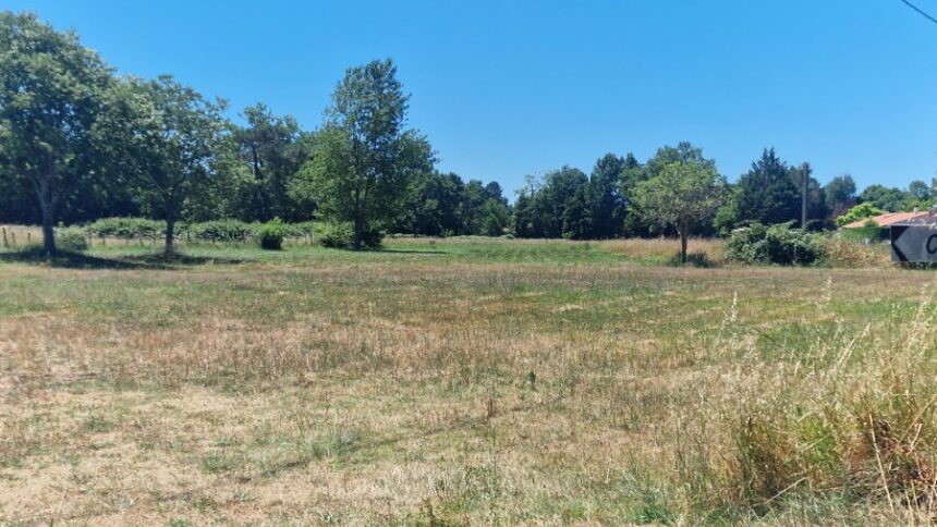 Maison à construire à Saint-Savin (33920)