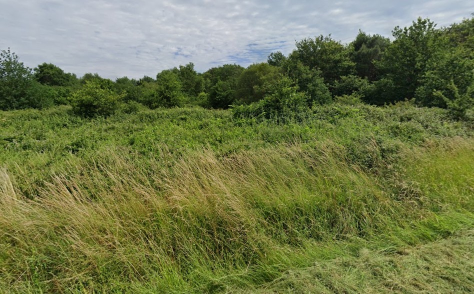 Terrain à bâtir à Saint-Savin (33920)