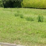 Terrain à bâtir à Blaye (33390)