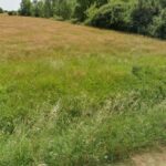 Terrain à bâtir à Samonac (33710)