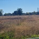 Terrain à bâtir à Saint-Savin (33920)