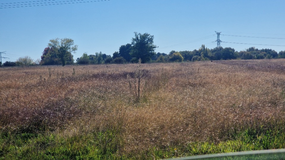 Terrain à bâtir à Saint-Savin (33920)