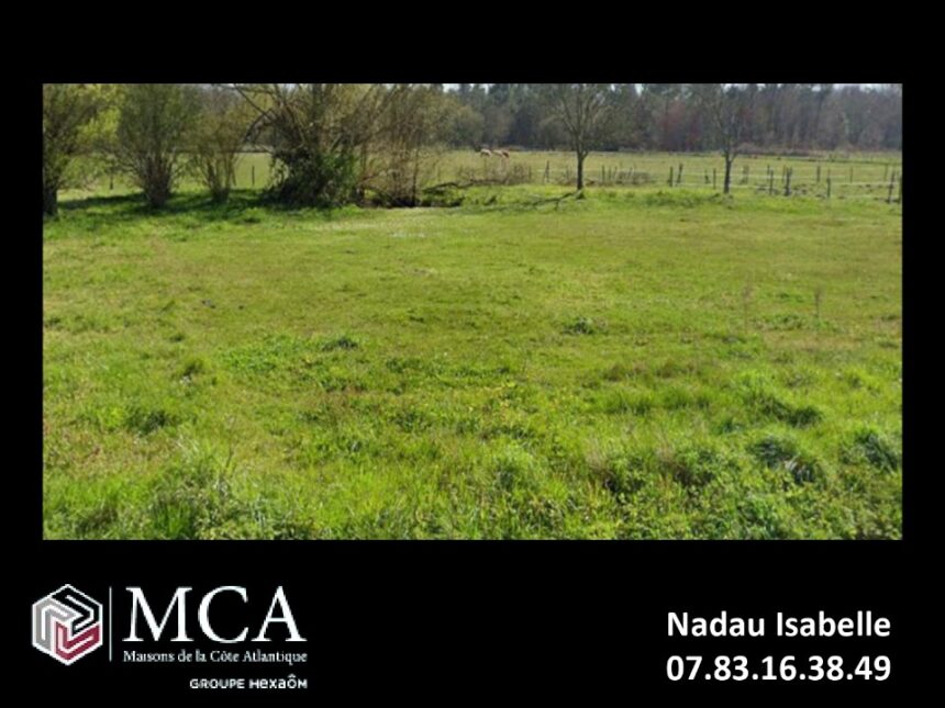 Maison à construire à Saint-Ciers-sur-Gironde (33820)