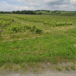 Maison à construire à Bourg (33710)