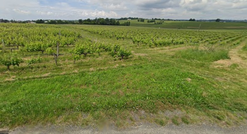 Terrain à bâtir à Bourg (33710)