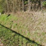 Terrain à bâtir à Samonac (33710)