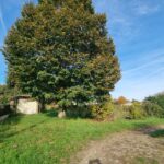 Terrain à bâtir à Saint-Magne-de-Castillon (33350)